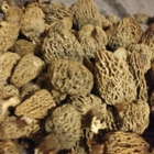 Far West Fungi Inc