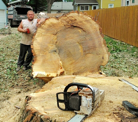 Even Family Tree Removal - Hazleton, IA. Monster cotton wood