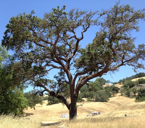 Henry W Coe State Park - Morgan Hill, CA