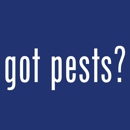 The Bug Stops Here - Pest Control Services