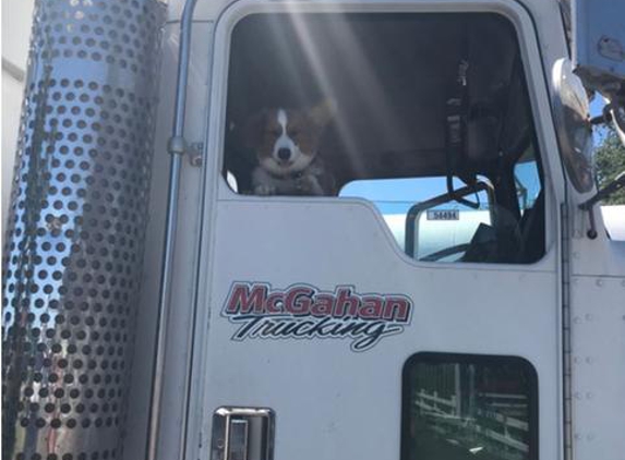 McGahan Trucking - Corning, CA