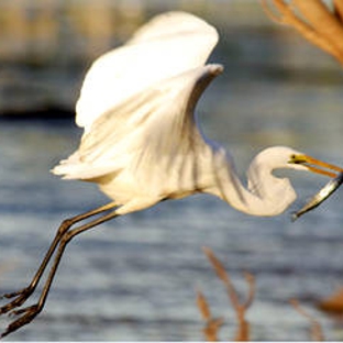 Yellow Water Cruises and Adventure tours - Jabiru, NT