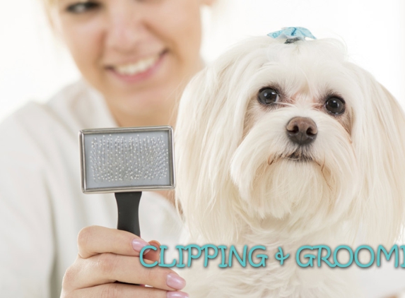Forever Friends Pet Minding Mobile Dog wash & Grooming Services - South Kalgoorlie, WA