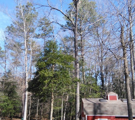 Mike's Tree Service - Bracey, VA