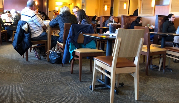 Panera Bread - Allen Park, MI