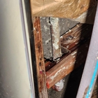 Roto-Rooter Plumbing & Water Cleanup of Salt Lake City