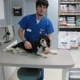 VCA Peachtree Animal Hospital