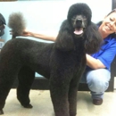 Family Pet Grooming - Pet Grooming