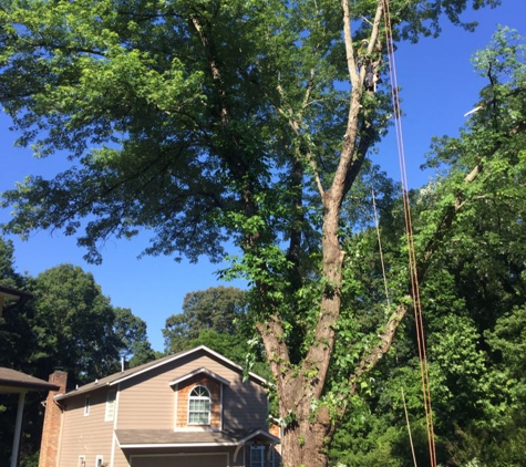 Scenery Tree Service - Knoxville, TN