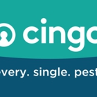 Cingo