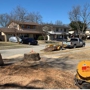 Texas Treehouse Tree Service & Stump Grinding