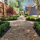 Scapes Incorporated