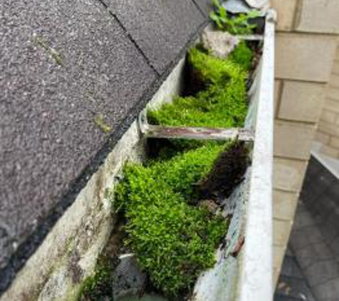 Bubbles Window Washing & Gutter Cleaning - Barrington, IL