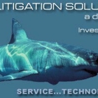 Litigations Solutions Inc