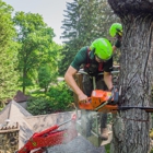 Woodman Tree Service