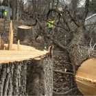 Cabanas Tree Expert