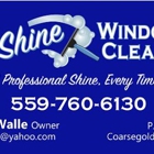 Pro Shine Window Cleaning