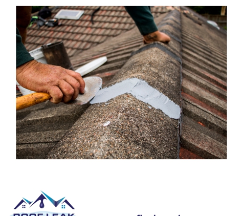 Roof Co Group