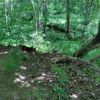 Caratunk Wildlife Refuge gallery