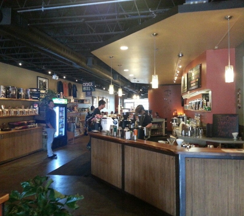 Ozo Coffee Co - Boulder, CO