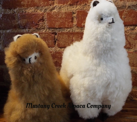 Mustang Creek Alpaca Company - Oklahoma City, OK