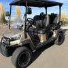 Colorado Kustom Carts gallery