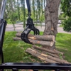 Trees by Forrest | Tree Removal Company in Plymouth, MN gallery