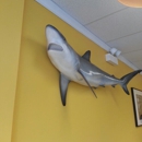 Sharks Fish & Chicken - Seafood Restaurants