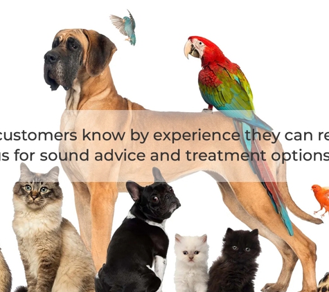 Avonsleigh Veterinary Clinic - Avonsleigh, VIC. Our customers know by experience they can rely on us for sound advice and treatment options.