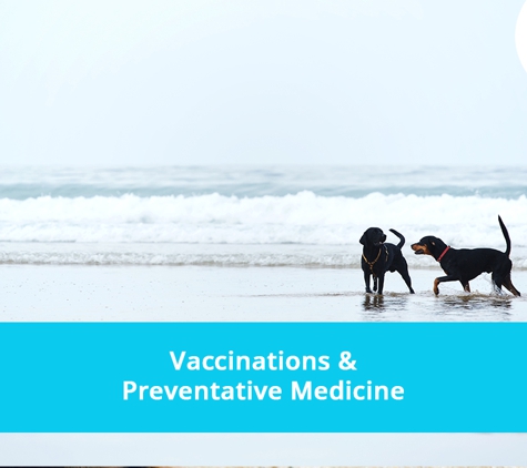 Sunshine Beach Veterinary Surgery - Sunshine Beach, QLD. Vaccinations & Preventative Medicine