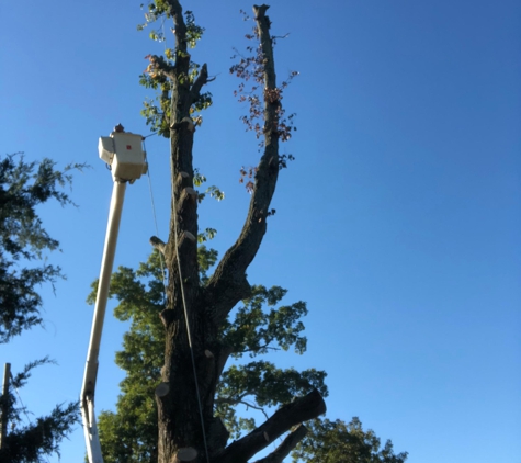 Crissman Tree Service - Boonville, NC