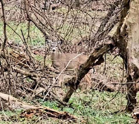 Bacon Creek Park - Sioux City, IA