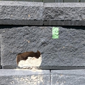 Gallery Image Number 3