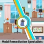 Mold Remediation Specialists