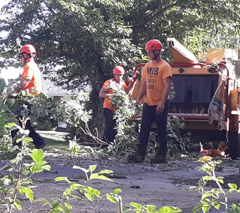 MIB Tree Service - Roanoke, VA