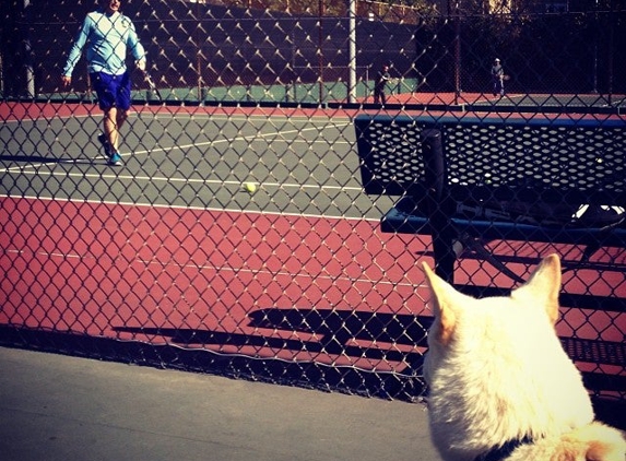 I Tennis - West Hollywood, CA