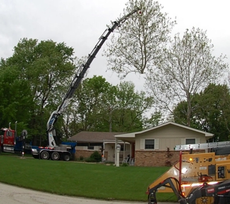 Poor Michael   Certified   Arborist - Urbana, IL