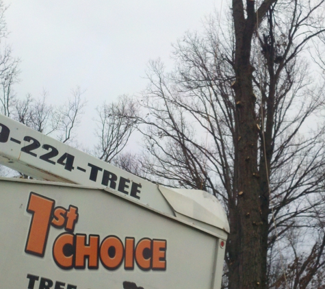 1st Choice Tree Service - Lima, OH