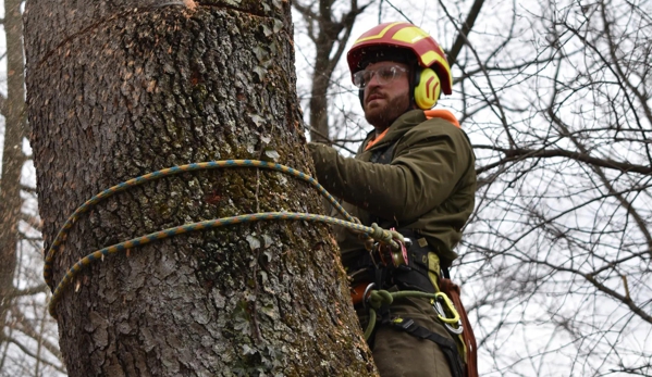 BeaverJack Tree Service, LLC - Natrona Heights, PA