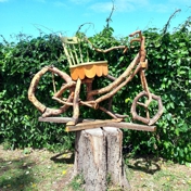Gallery Image Number 7