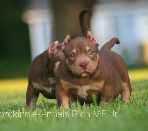 McKinnie Kennels LLC - Fuquay Varina, NC