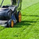 Steve's Lawn Care - Lawn Maintenance