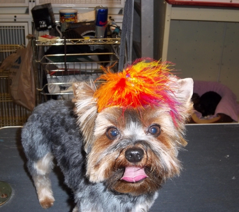 Gette-A-Groom - Klamath Falls, OR