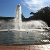 Spreckels Organ Society gallery