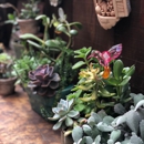 Pilgrim's Way Bookstore & Secret Garden - Garden Centers