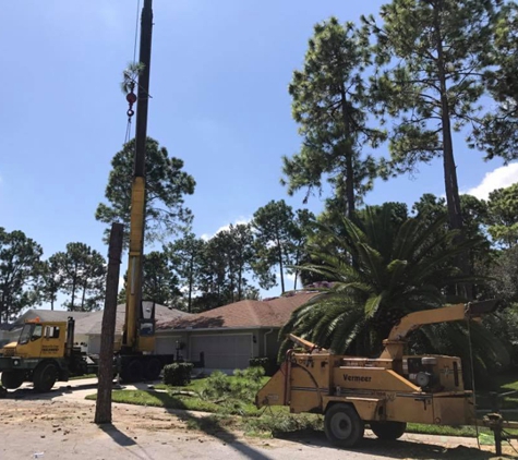 USA Tree Service - Weeki Wacee, FL