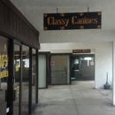 Laura's Classy Canines - Pet Grooming