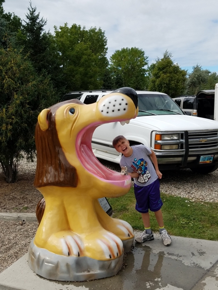 Carousel Gallery #11
