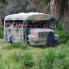 Babcock Ranch Eco Tours gallery