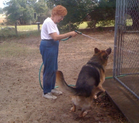 Beltara Kennels AKC REG - Leesburg, FL